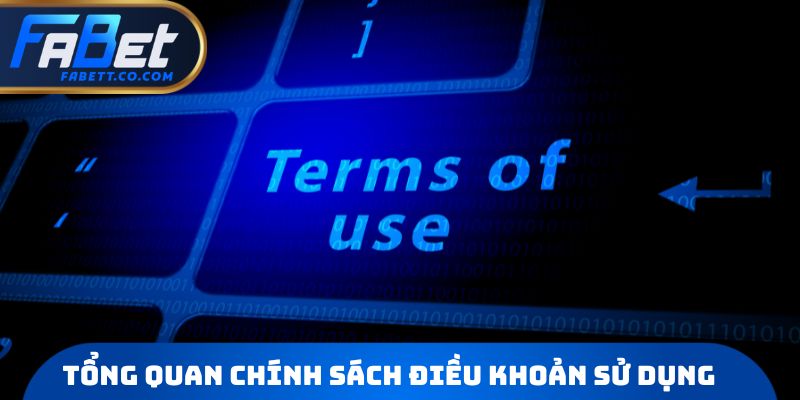 Tổng quan chính sách Điều khoản sử dụng